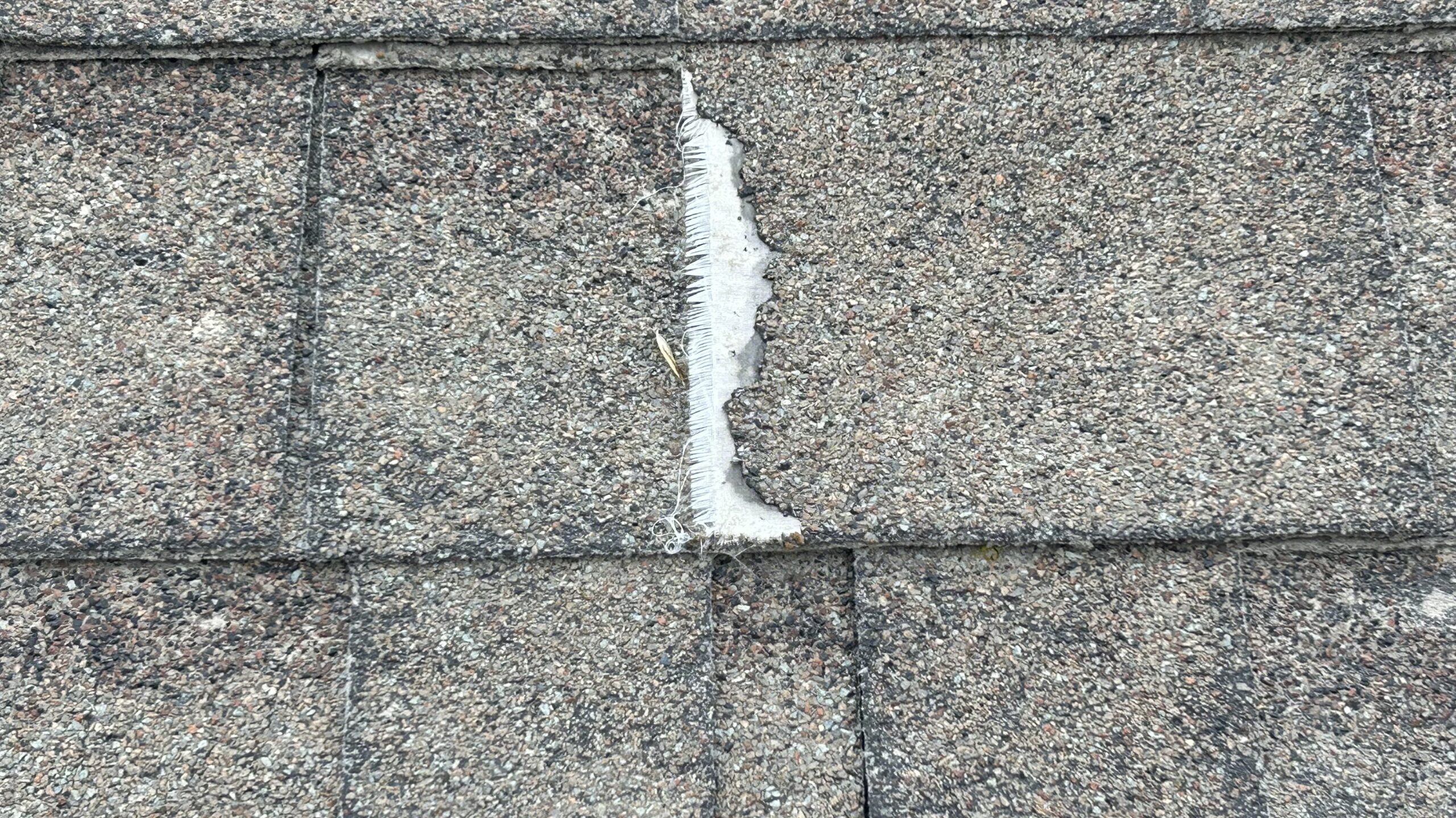 Damaged shingle Nano-Roof